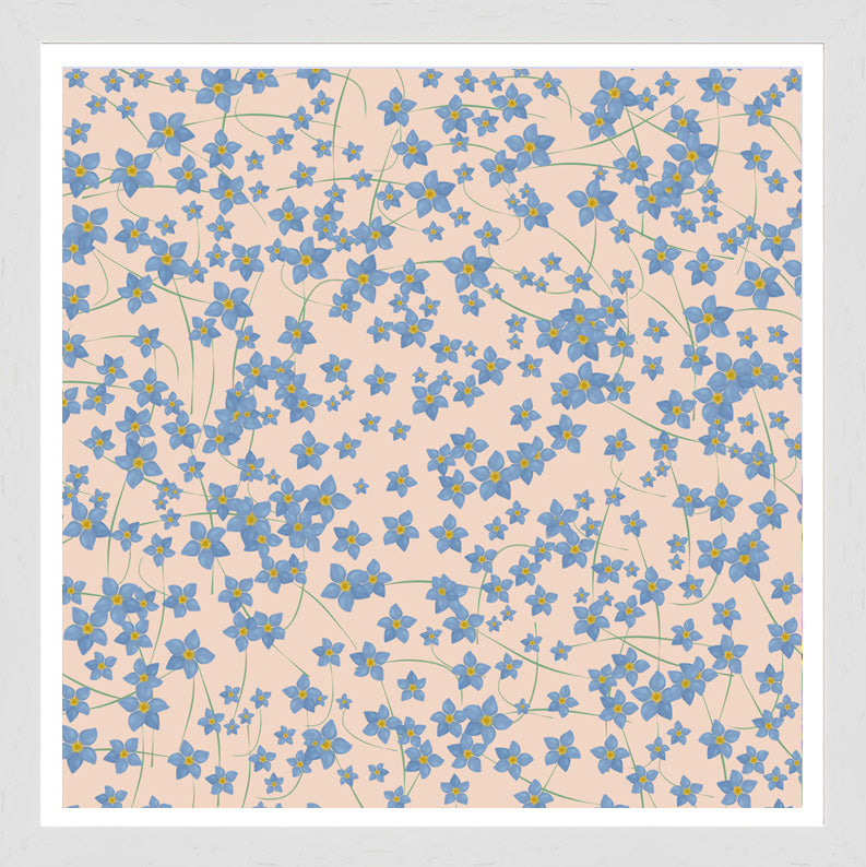 Forget-Me-Not print