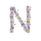 Letter N wildflowers print