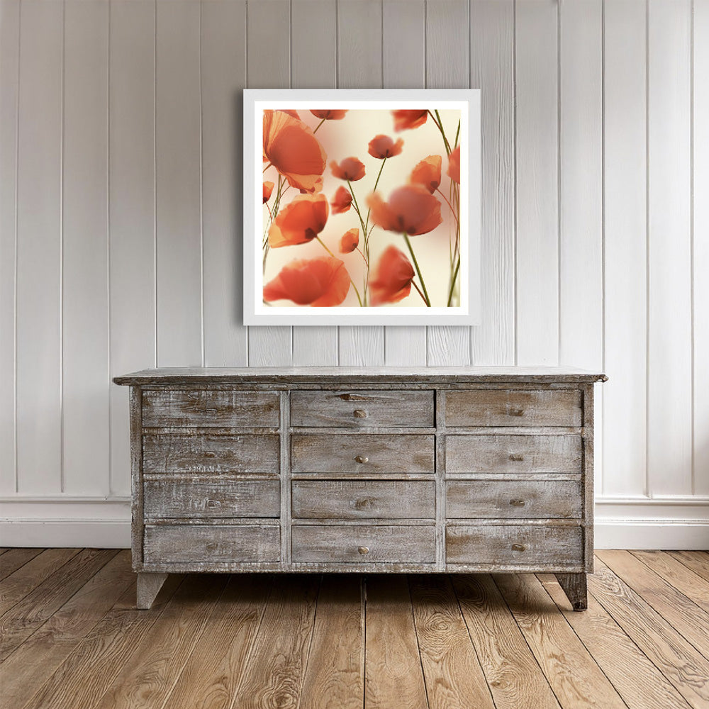 Poppies print