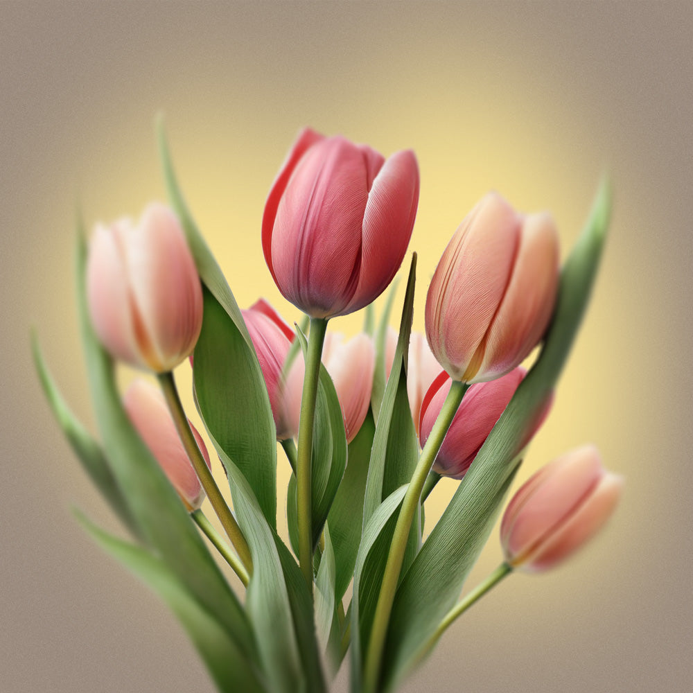 Curvy Tulips