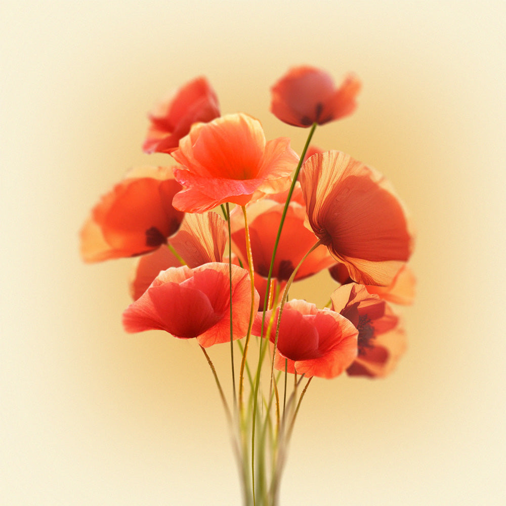 Poppies