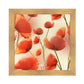 Poppies print