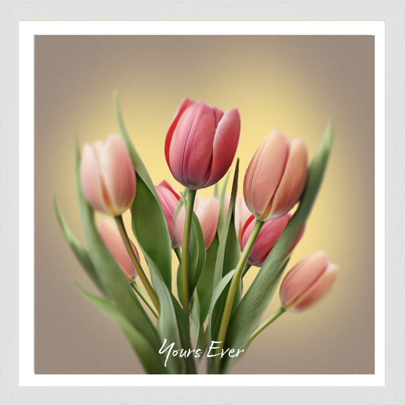 Curvy Tulips